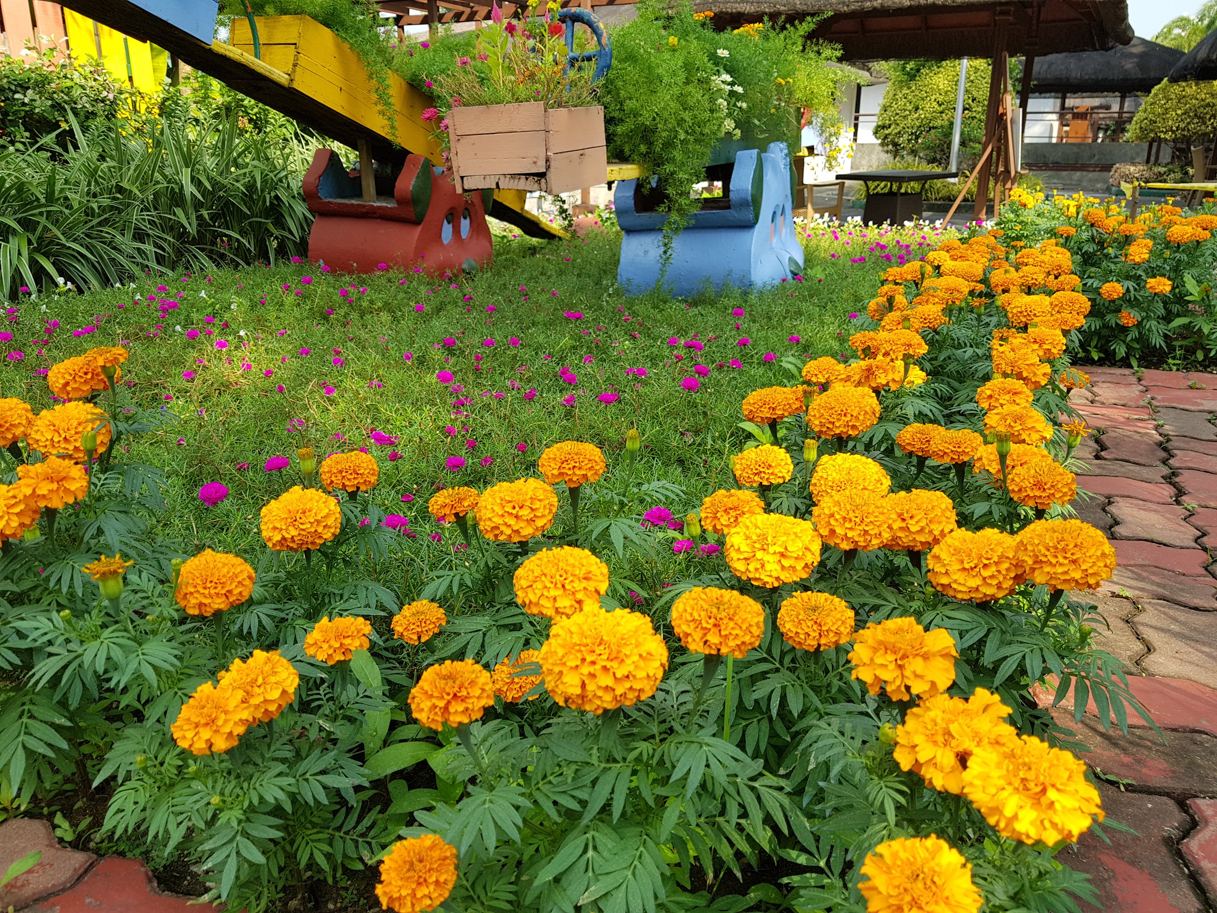 Landscaping