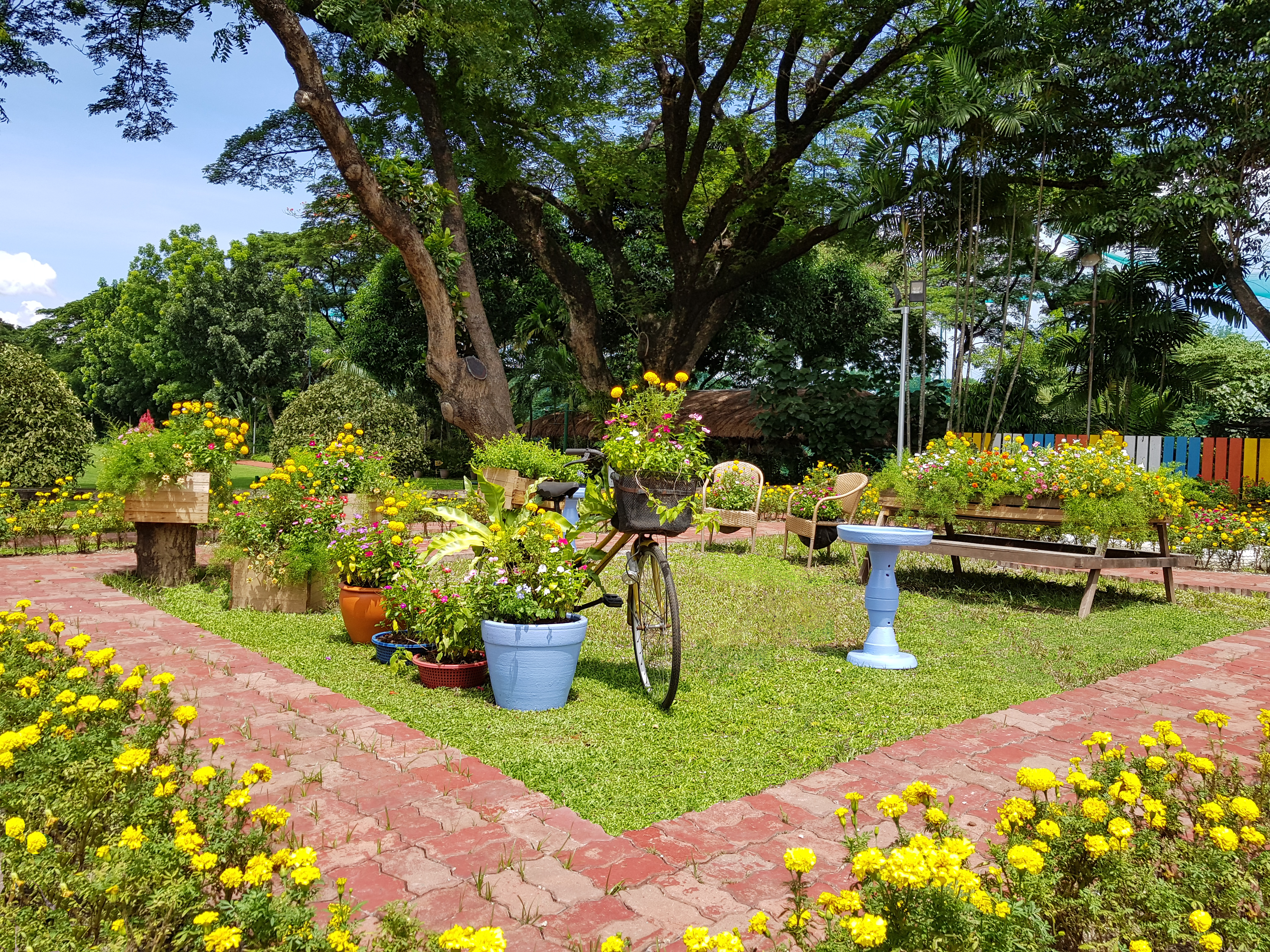 Landscaping
