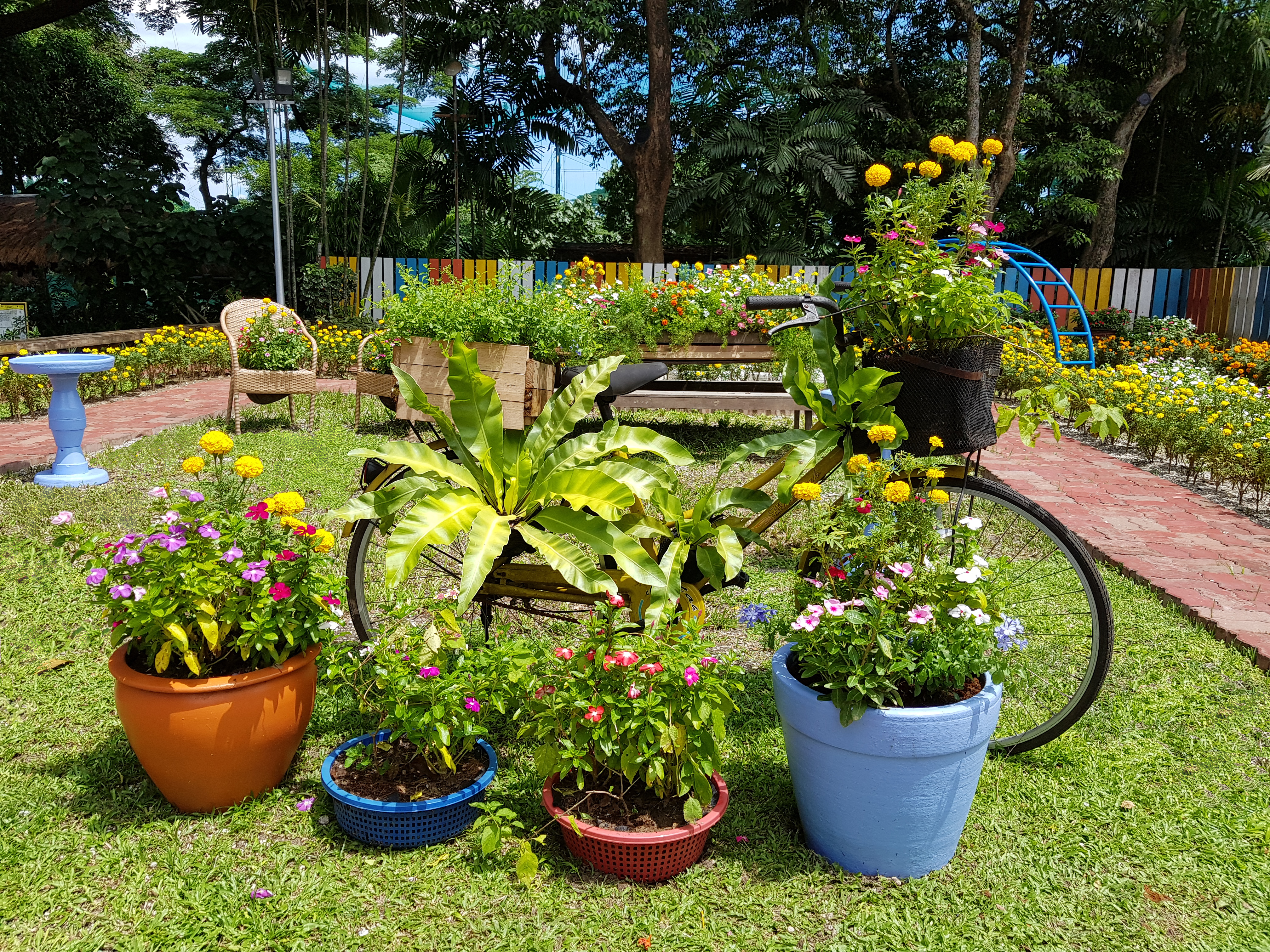 Landscaping