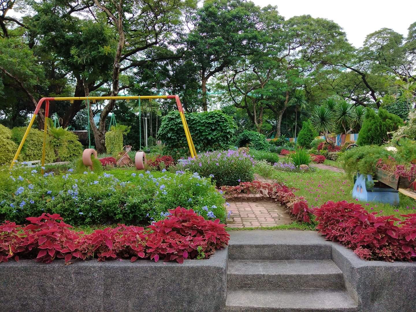 Landscaping