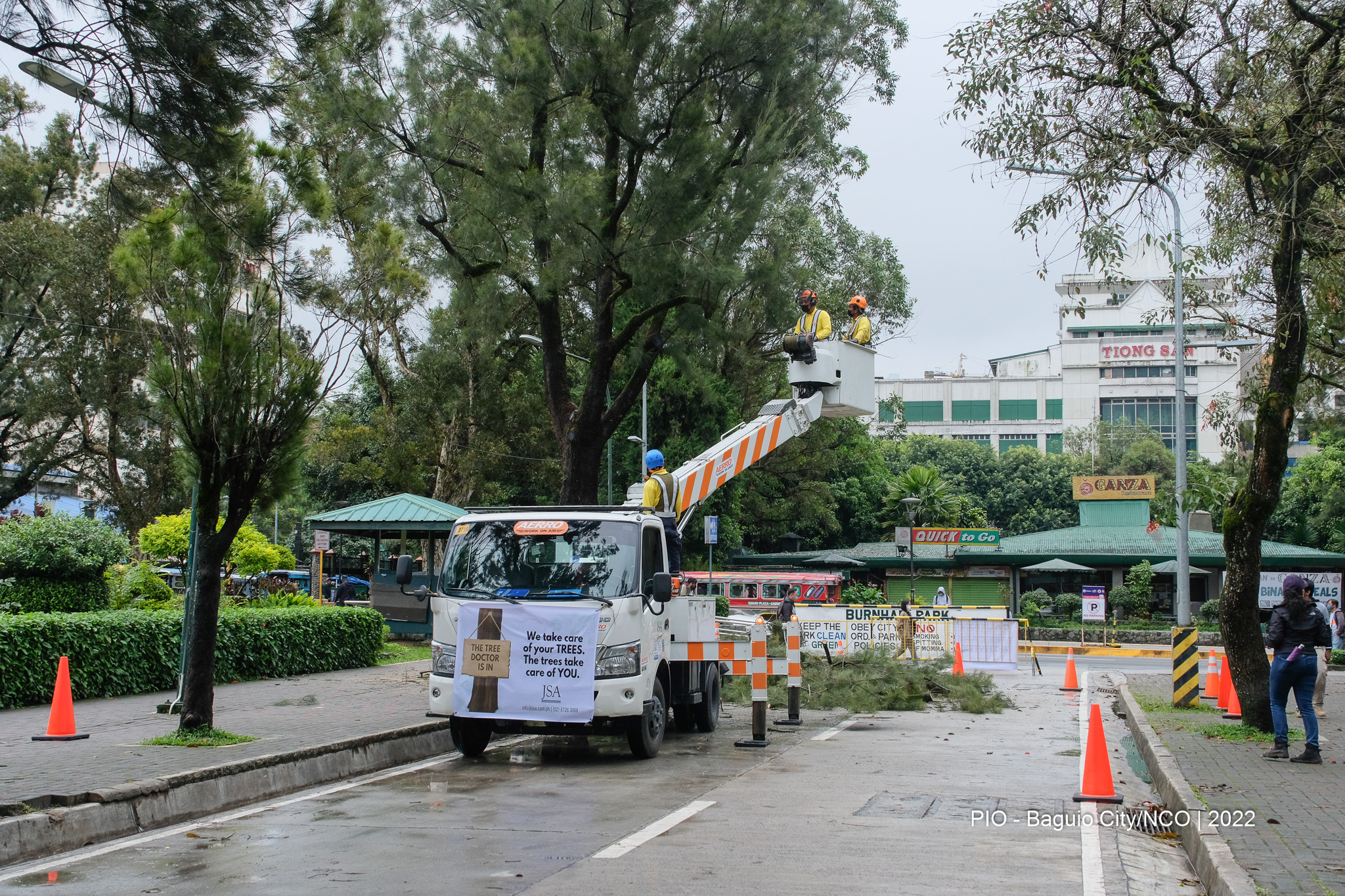 Tree Care