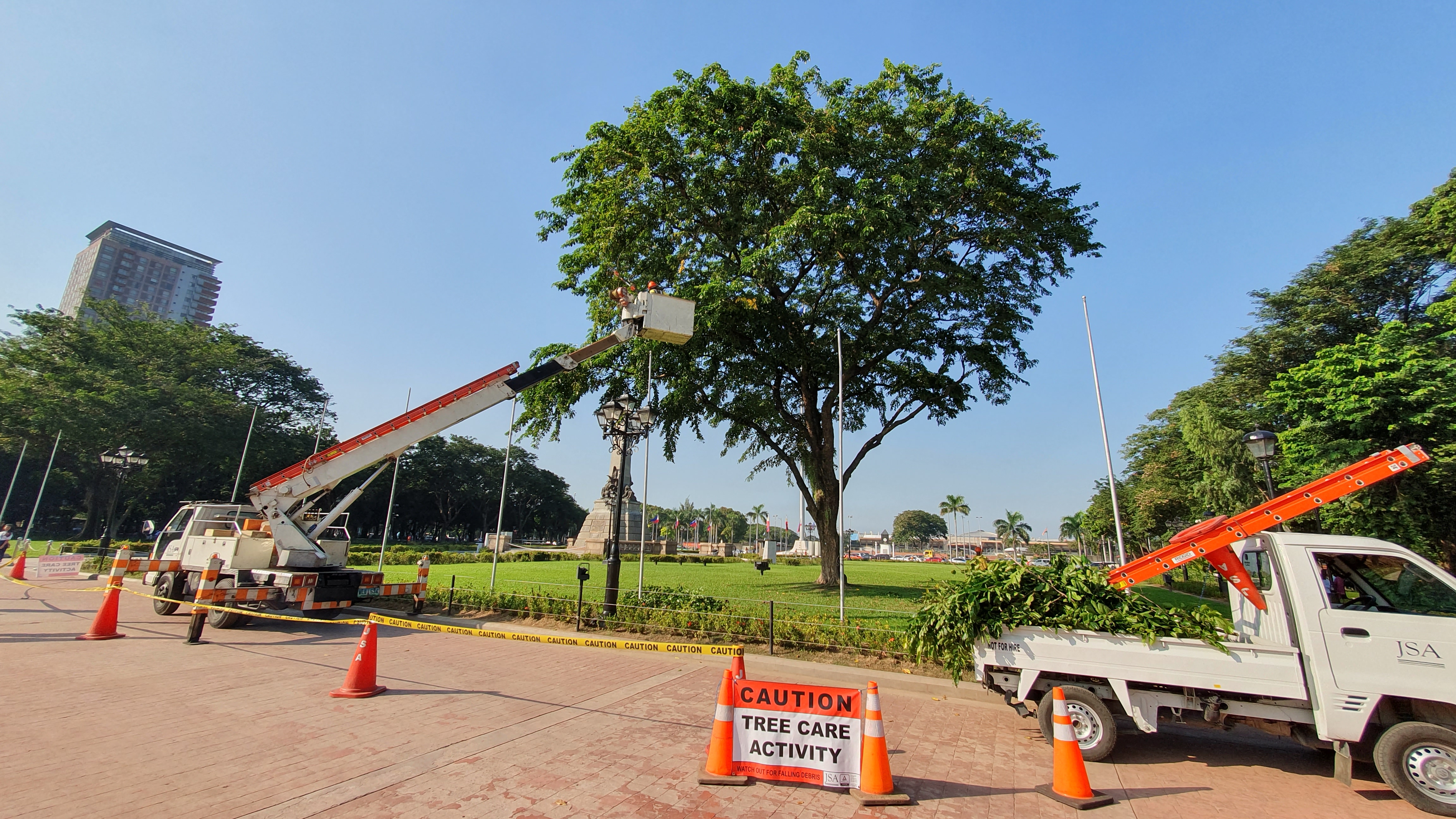 Tree Care