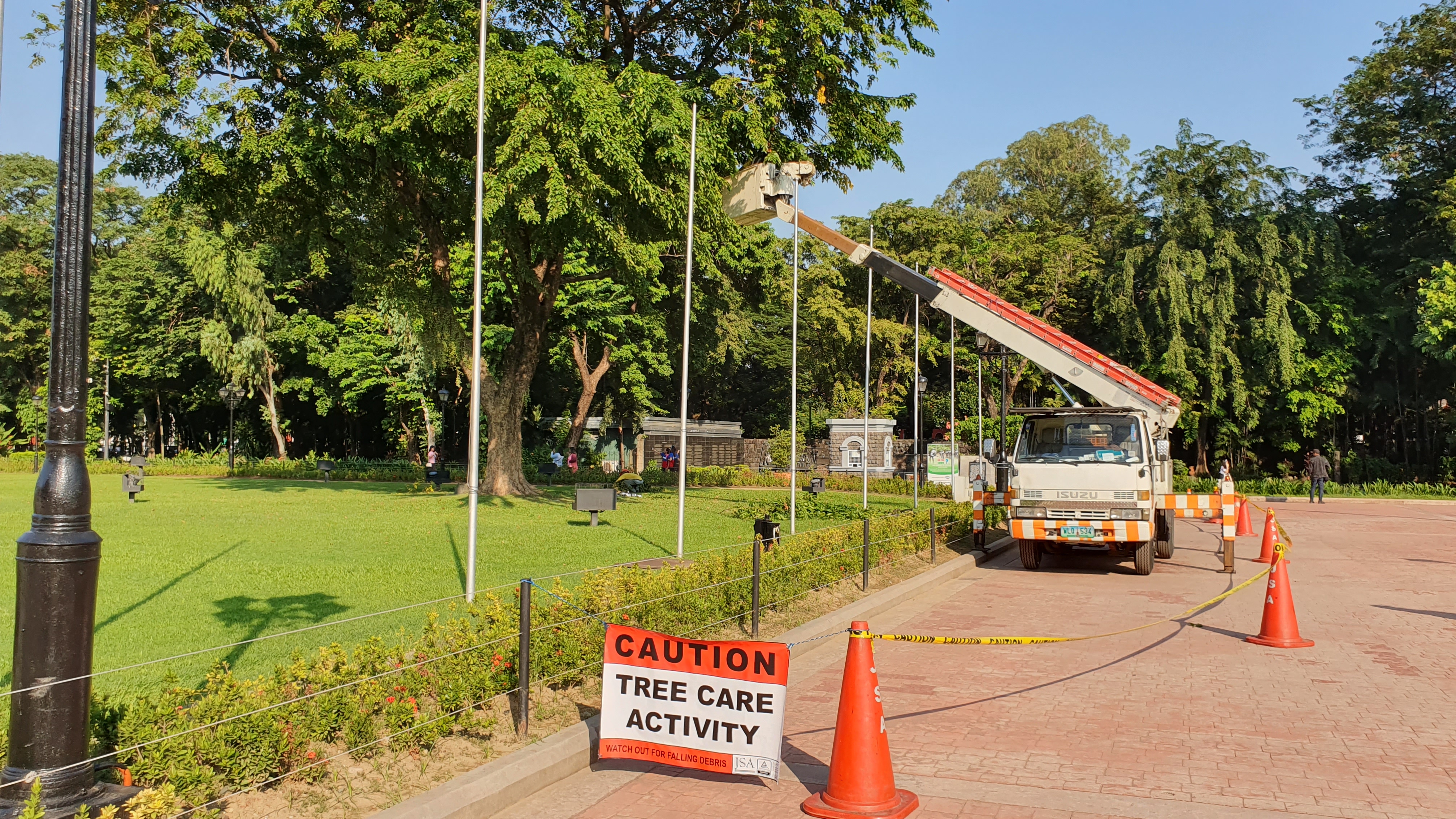 Tree Care