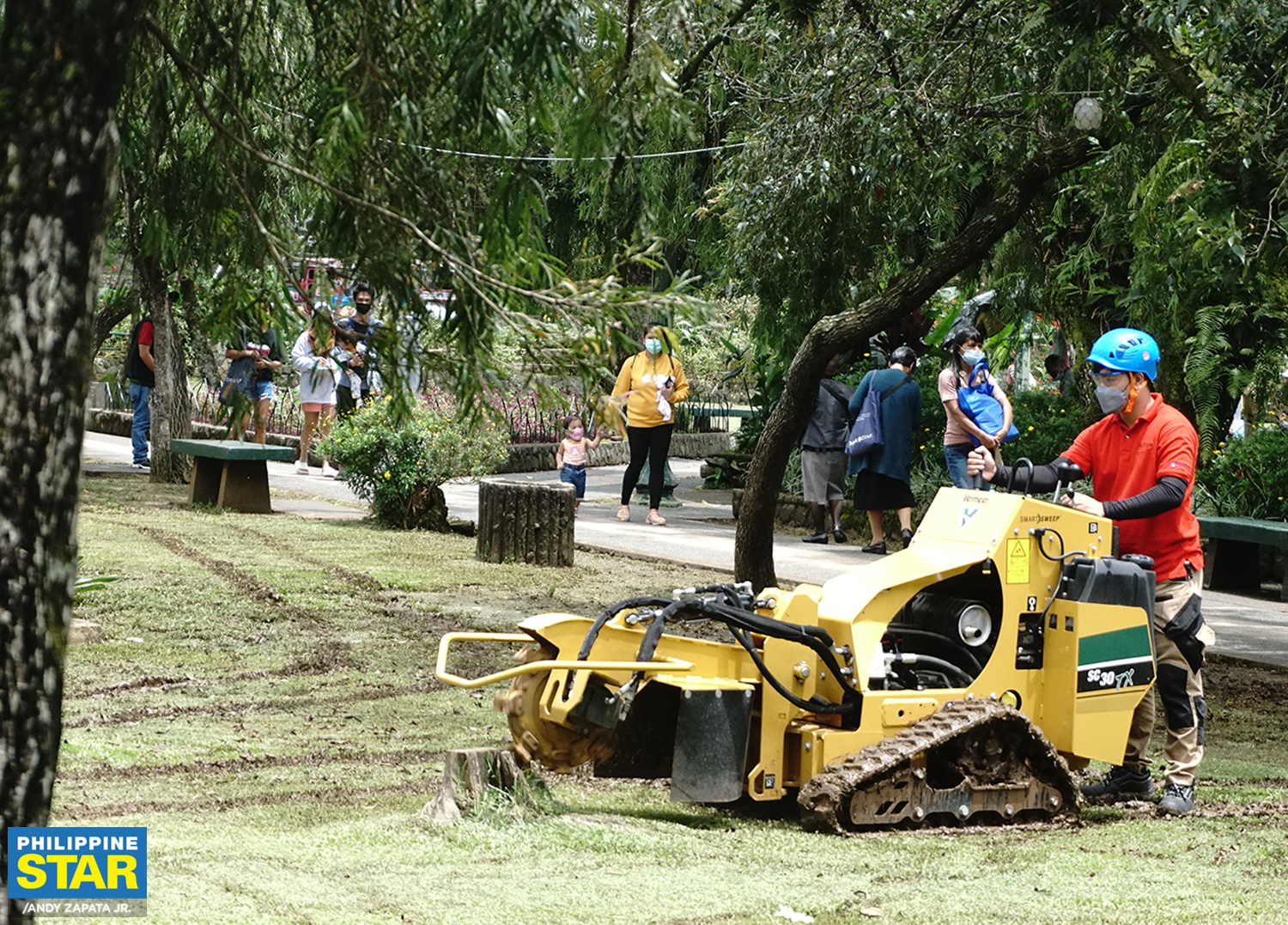 Tree Care