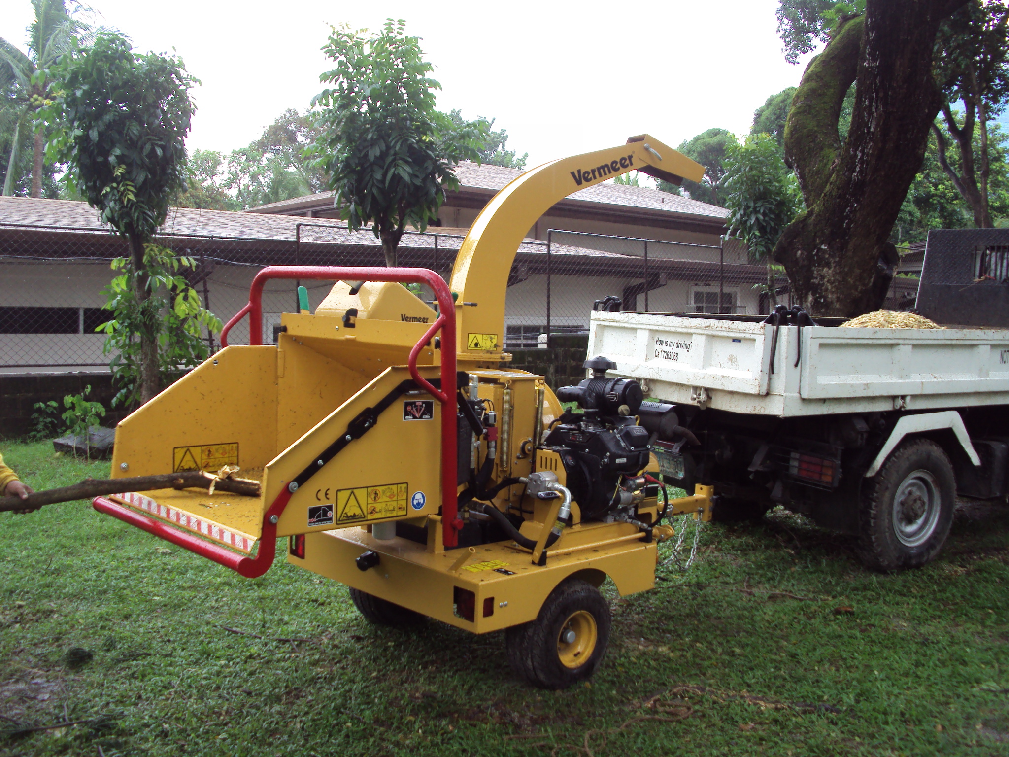Tree Care